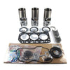 Kubota D850 Rebuild Kit